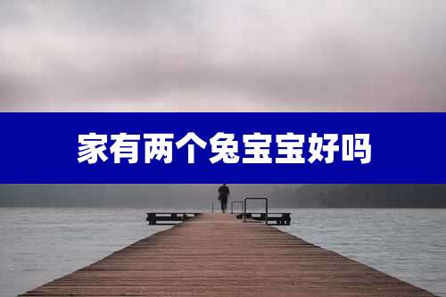 家有两个兔宝宝好吗