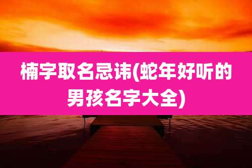 楠字取名忌讳(蛇年好听的男孩名字大全)
