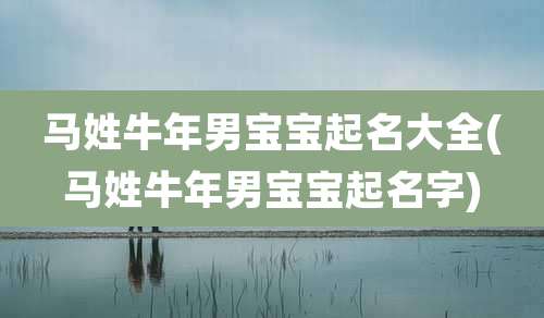 马姓牛年男宝宝起名大全(马姓牛年男宝宝起名字)