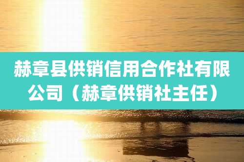 赫章县供销信用合作社有限公司(赫章供销社主任)