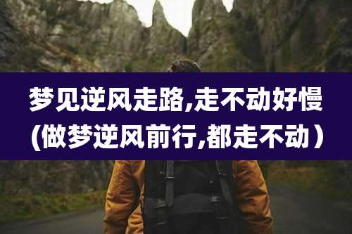 梦见逆风走路,走不动好慢(做梦逆风前行,都走不动)