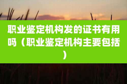 职业鉴定机构发的证书有用吗(职业鉴定机构主要包括)