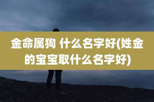 金命属狗 什么名字好(姓金的宝宝取什么名字好)