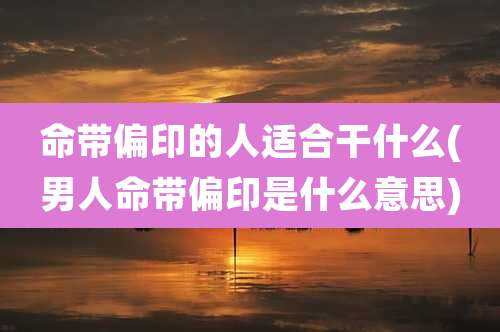 命带偏印的人适合干什么(男人命带偏印是什么意思)