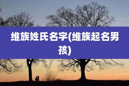 维族姓氏名字(维族起名男孩)