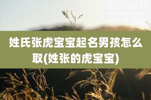 姓氏张虎宝宝起名男孩怎么取(姓张的虎宝宝)