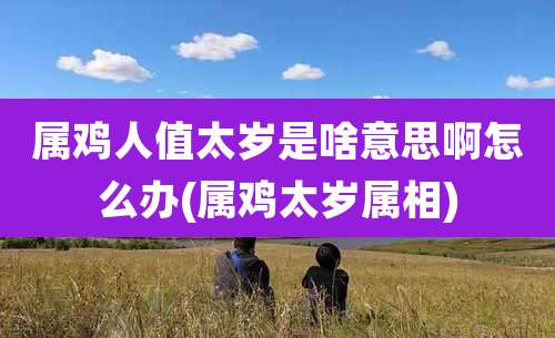 属鸡人值太岁是啥意思啊怎么办(属鸡太岁属相)