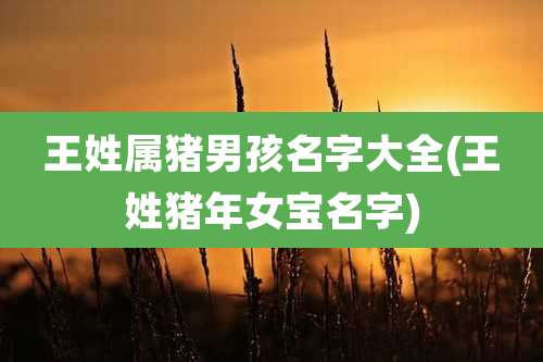 王姓属猪男孩名字大全(王姓猪年女宝名字)