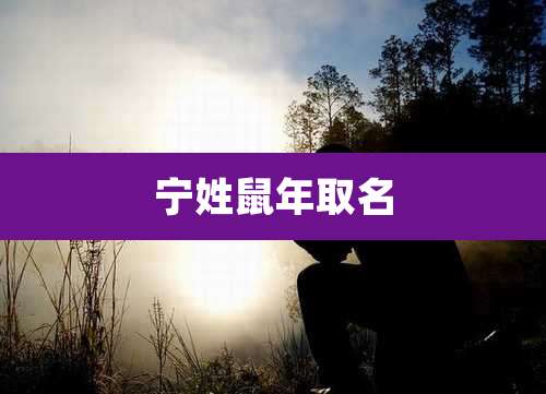 宁姓鼠年取名