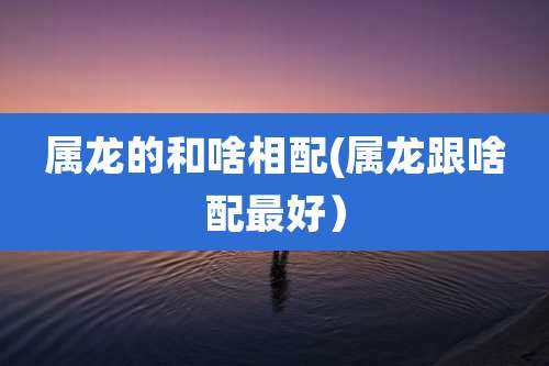 属龙的和啥相配(属龙跟啥配最好)