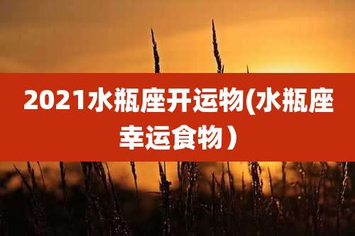 2021水瓶座开运物(水瓶座幸运食物）