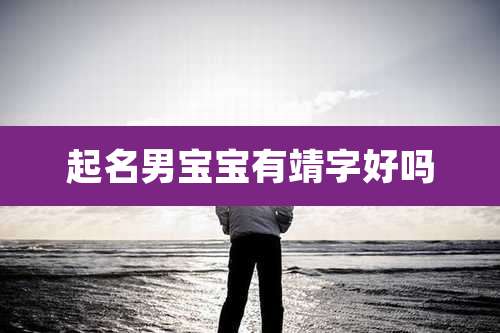 起名男宝宝有靖字好吗