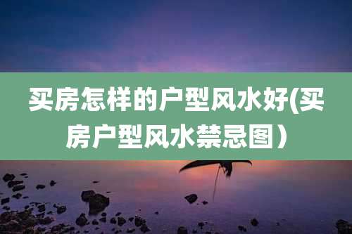 买房怎样的户型风水好(买房户型风水禁忌图）