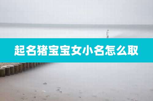 起名猪宝宝女小名怎么取