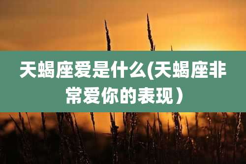 天蝎座爱是什么(天蝎座非常爱你的表现）