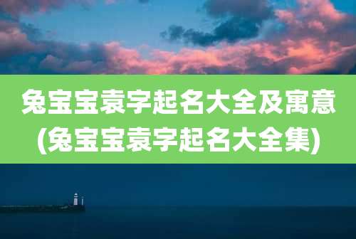兔宝宝袁字起名大全及寓意(兔宝宝袁字起名大全集)
