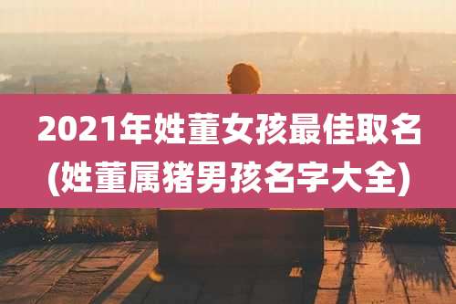2021年姓董女孩最佳取名(姓董属猪男孩名字大全)