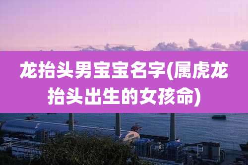 龙抬头男宝宝名字(属虎龙抬头出生的女孩命)