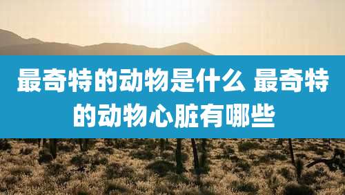 最奇特的动物是什么 最奇特的动物心脏有哪些