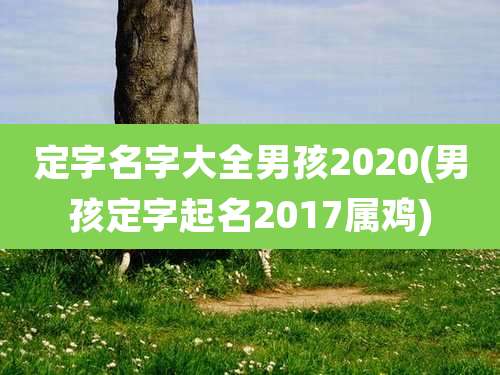 定字名字大全男孩2020(男孩定字起名2017属鸡)
