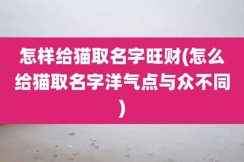 怎样给猫取名字旺财(怎么给猫取名字洋气点与众不同)