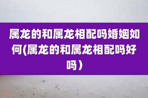 属龙的和属龙相配吗婚姻如何(属龙的和属龙相配吗好吗)