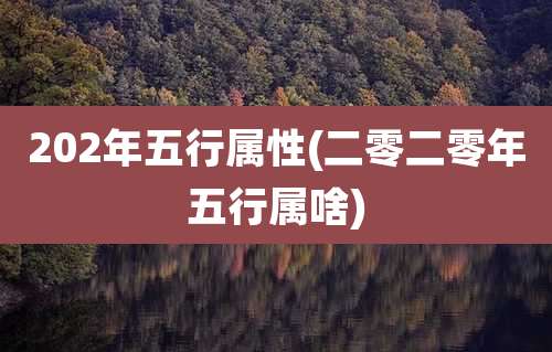 202年五行属性(二零二零年五行属啥)