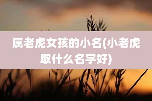 属老虎女孩的小名(小老虎取什么名字好)