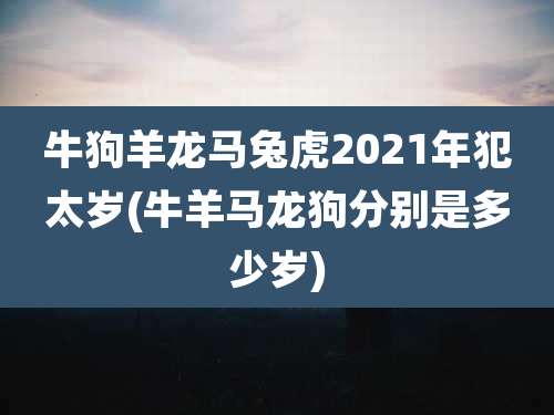 牛狗羊龙马兔虎2021年犯太岁(牛羊马龙狗分别是多少岁)