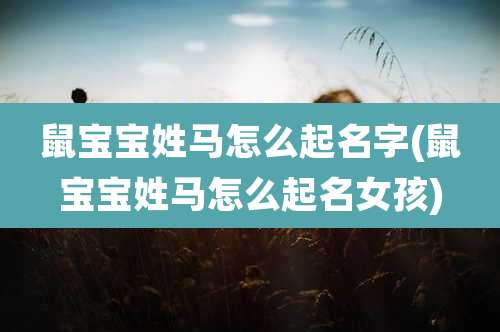 鼠宝宝姓马怎么起名字(鼠宝宝姓马怎么起名女孩)