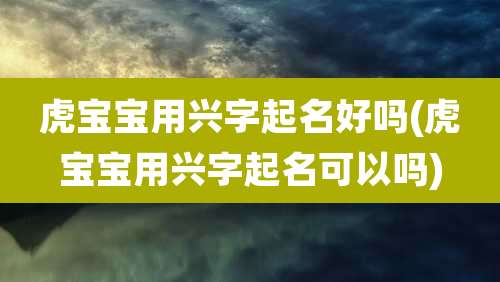 虎宝宝用兴字起名好吗(虎宝宝用兴字起名可以吗)
