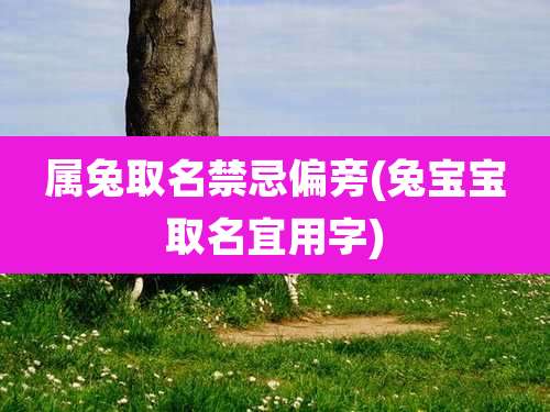 属兔取名禁忌偏旁(兔宝宝取名宜用字)