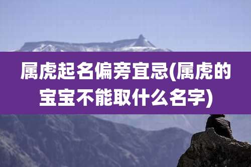 属虎起名偏旁宜忌(属虎的宝宝不能取什么名字)