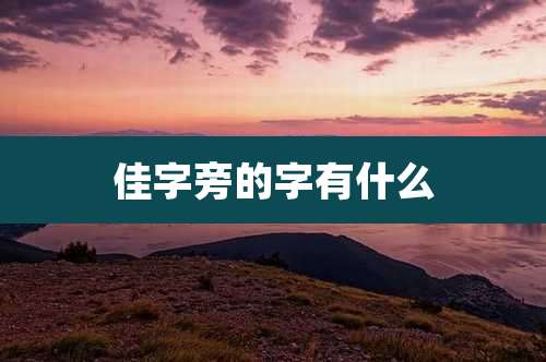 佳字旁的字有什么