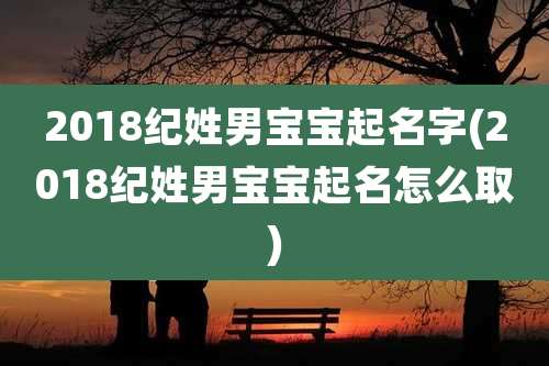 2018纪姓男宝宝起名字(2018纪姓男宝宝起名怎么取)