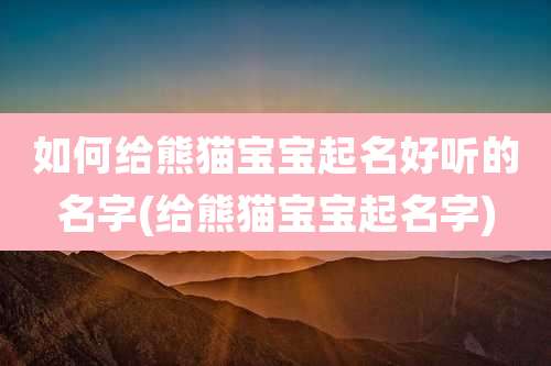 如何给熊猫宝宝起名好听的名字(给熊猫宝宝起名字)