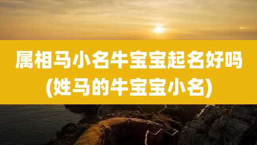 属相马小名牛宝宝起名好吗(姓马的牛宝宝小名)