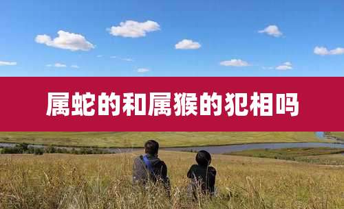 属蛇的和属猴的犯相吗