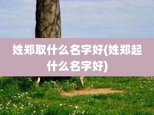 姓郑取什么名字好(姓郑起什么名字好)