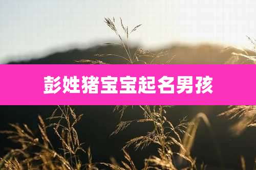 彭姓猪宝宝起名男孩