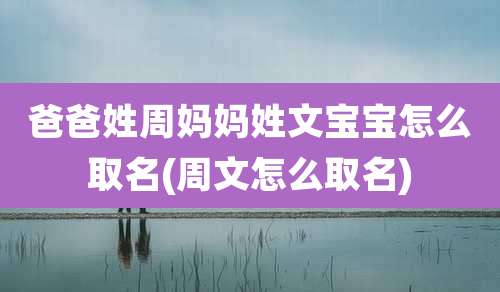 爸爸姓周妈妈姓文宝宝怎么取名(周文怎么取名)