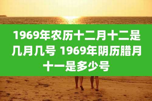 1969年农历十二月十二是几月几号 1969年阴历腊月十一是多少号