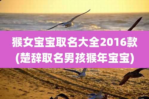 猴女宝宝取名大全2016款(楚辞取名男孩猴年宝宝)