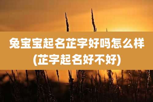兔宝宝起名芷字好吗怎么样(芷字起名好不好)