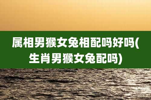 属相男猴女兔相配吗好吗(生肖男猴女兔配吗)