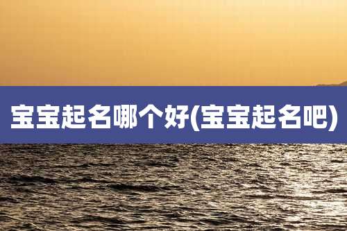 宝宝起名哪个好(宝宝起名吧)