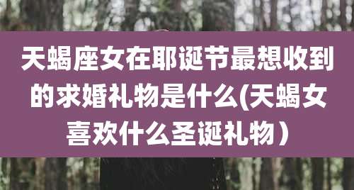 天蝎座女在耶诞节最想收到的求婚礼物是什么(天蝎女喜欢什么圣诞礼物)