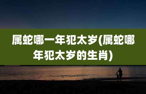 属蛇哪一年犯太岁(属蛇哪年犯太岁的生肖)