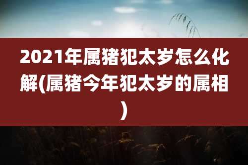2021年属猪犯太岁怎么化解(属猪今年犯太岁的属相)