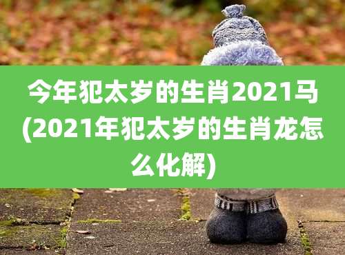 今年犯太岁的生肖2021马(2021年犯太岁的生肖龙怎么化解)